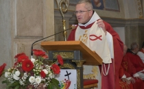 Nagovor domačega župnika